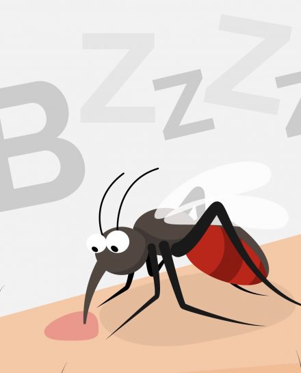 τσίμπημα κουνουπιού